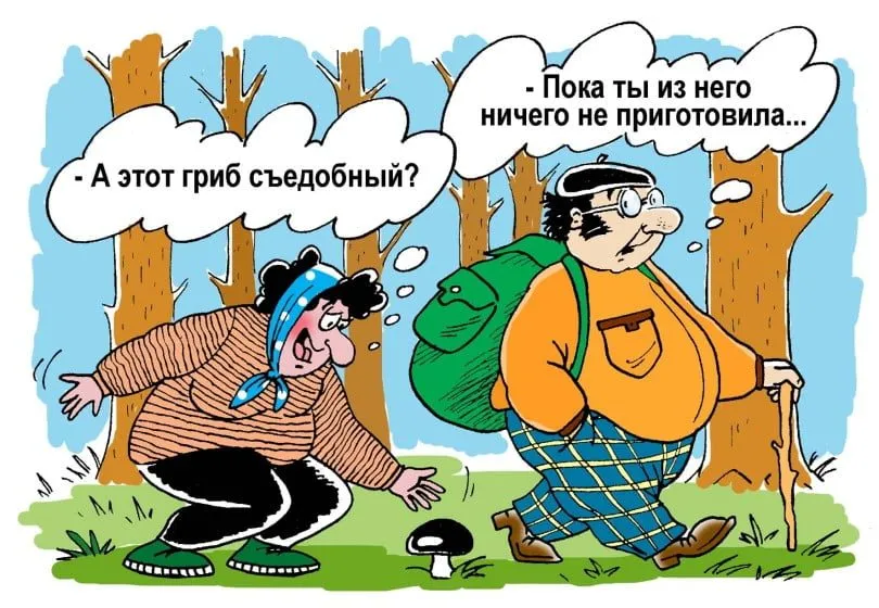 По грибы с лукошком