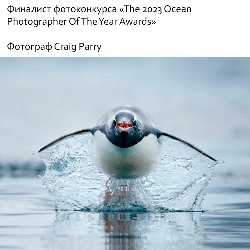 Это интересно!