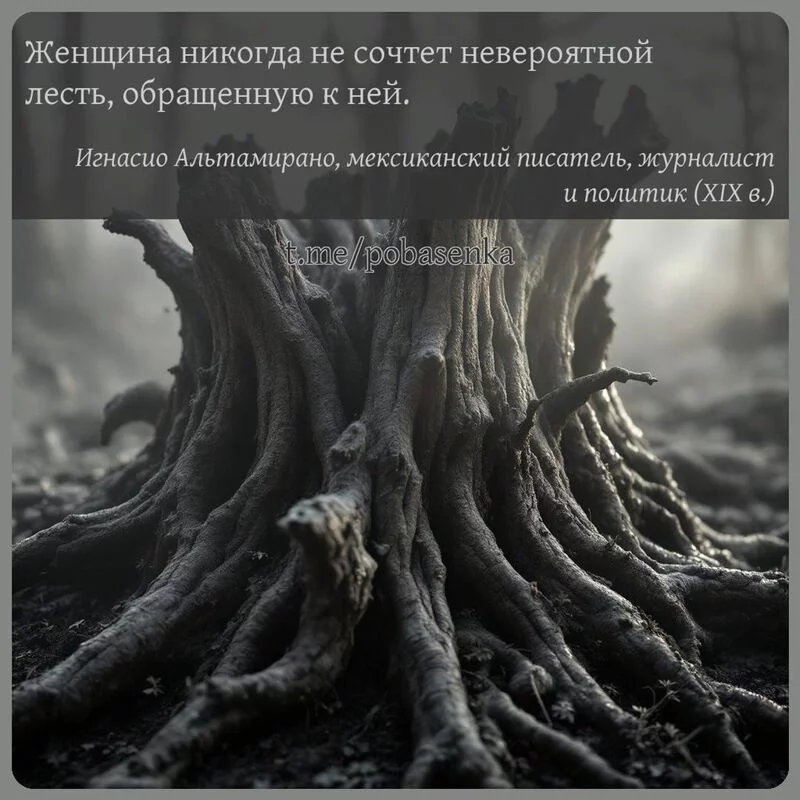 «Женщина никогда не сочтет невероятной лесть, обращенную к...» height="550" width="550"