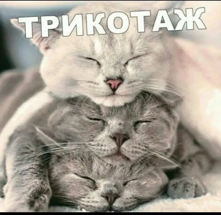 Позитивчик (фото, видео, рассказы для хорошего настроения)