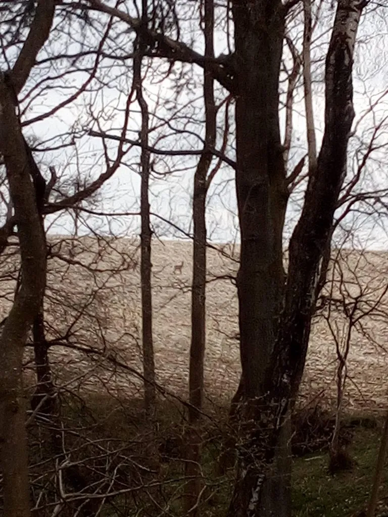 Tapтaлeтки & Ко