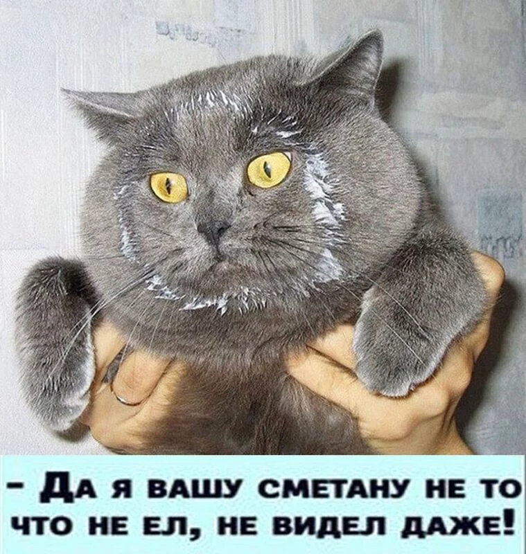 Посмеялся сам - поделись с другом!!!