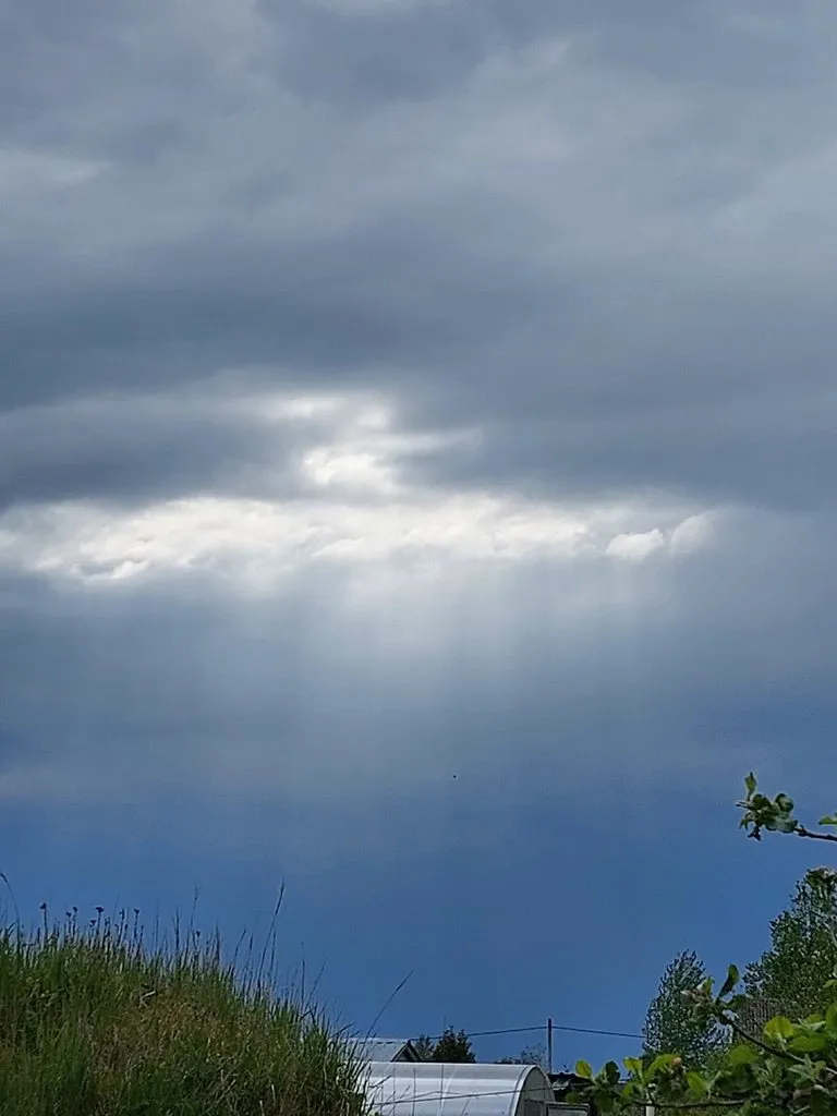 Такое разное небо