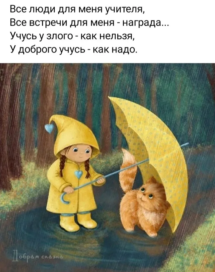 Позитивчик (фото, видео, рассказы для хорошего настроения)