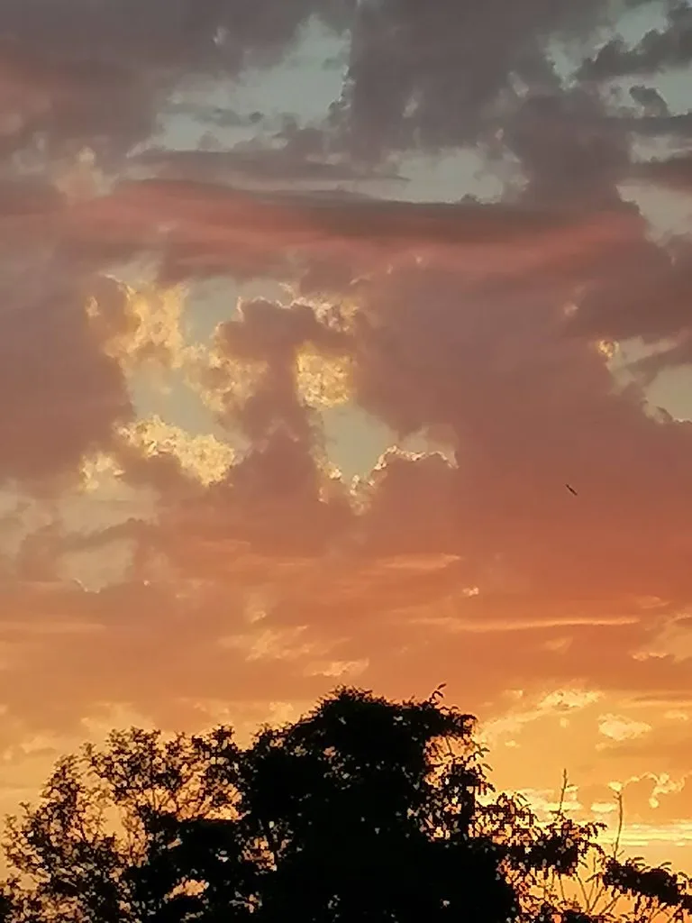 Чайная беседка