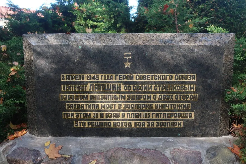И снова, через год, встречай, Калининград!