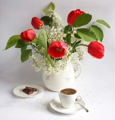 Tapтaлeтки & Ко