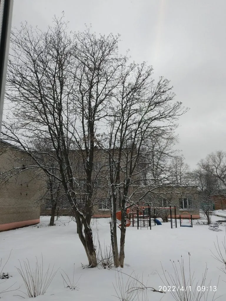 Чайная беседка