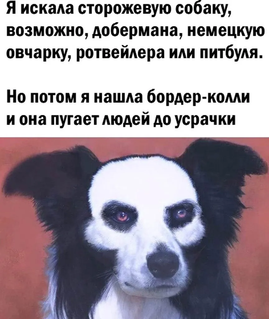 Посмеялся сам - поделись с другом!!!