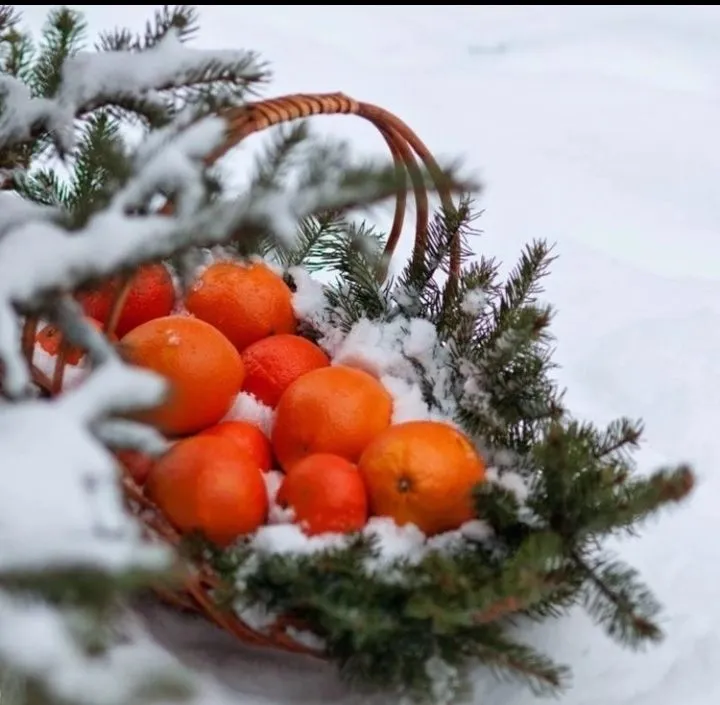 Кафе «У пани Сони»