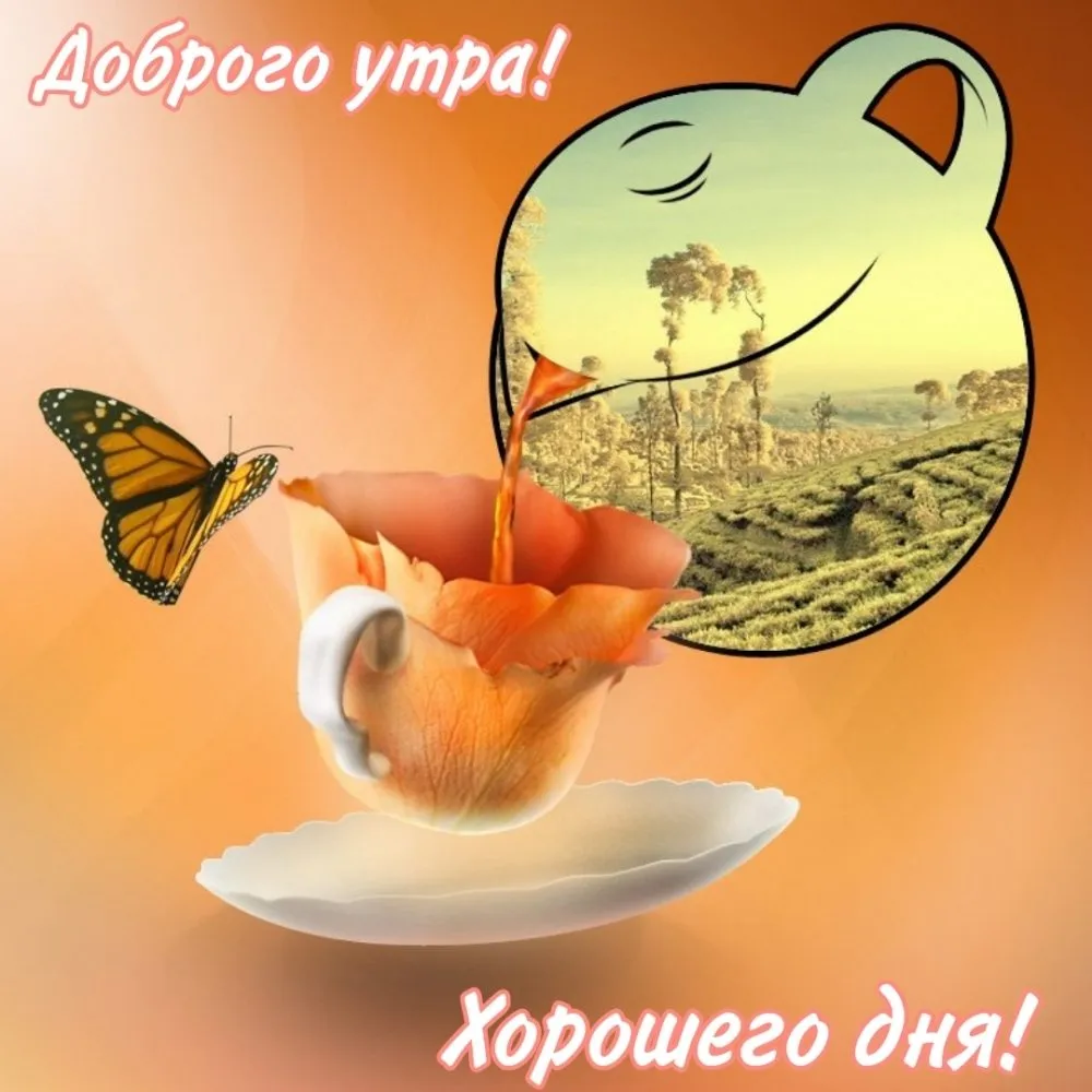 Чайная беседка
