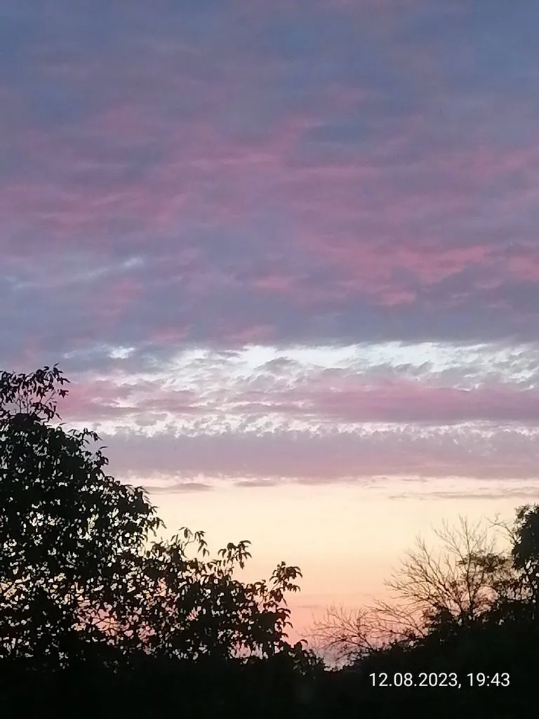 Чайная беседка