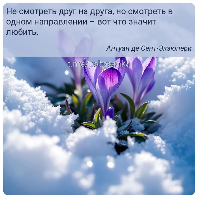 «Не смотреть друг на друга, но смотреть в одном направлении вот что значит...» height="550" width="550"