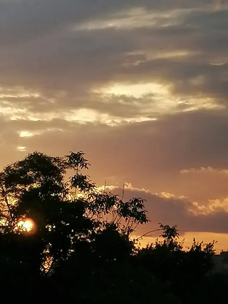 Чайная беседка