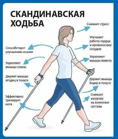 Медицинская инфографика