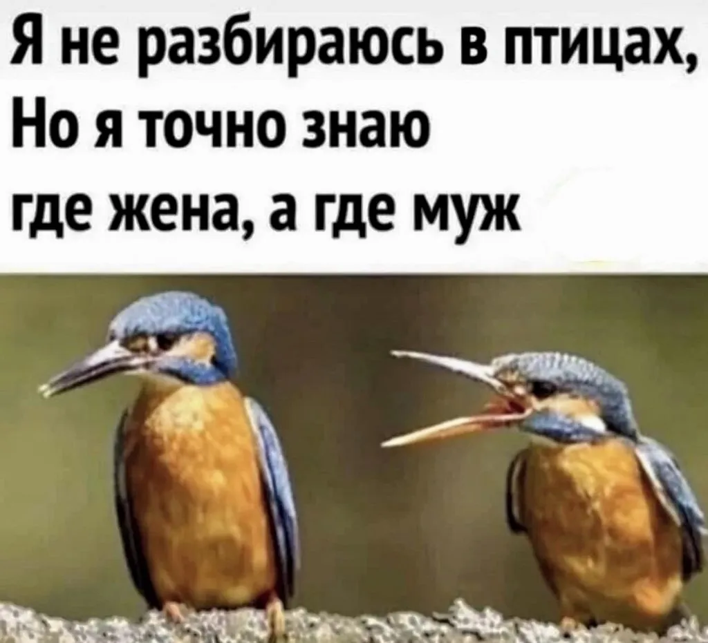 Кафе «У пани Сони»