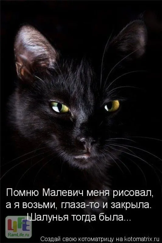 Посмеялся сам - поделись с другом!!!