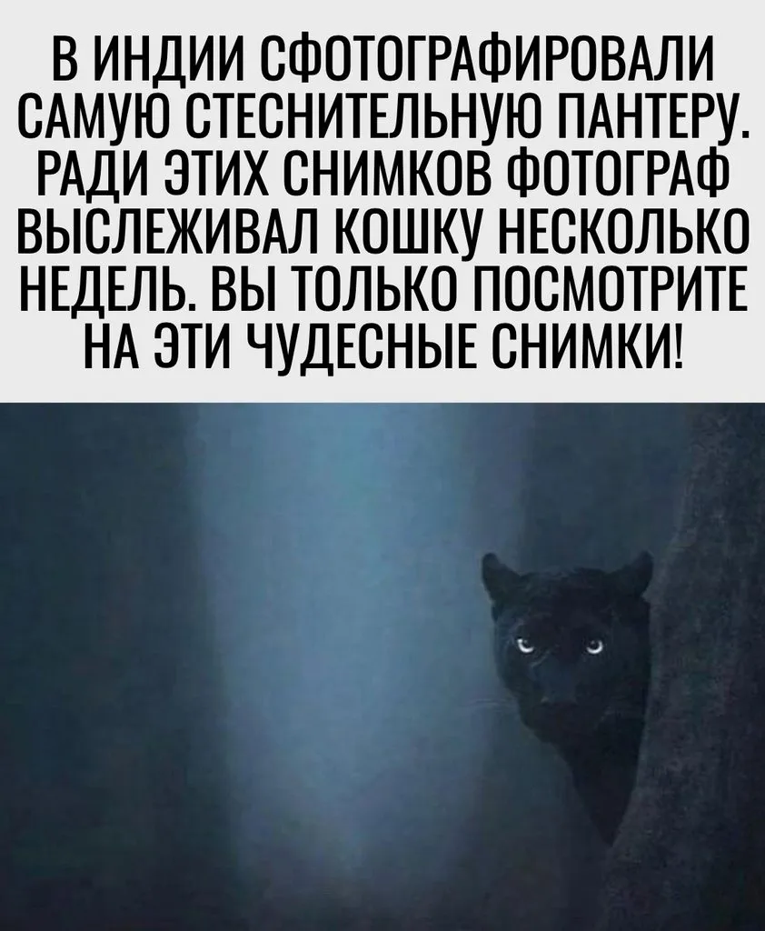 Это интересно!