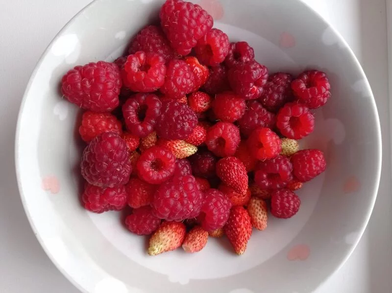 Чайная беседка