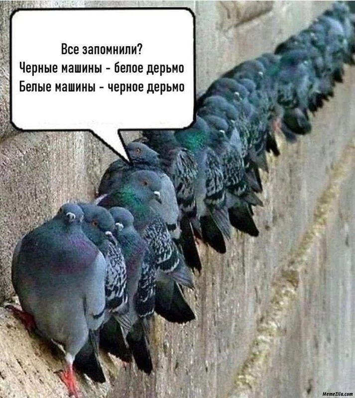 Посмеялся сам - поделись с другом!!!
