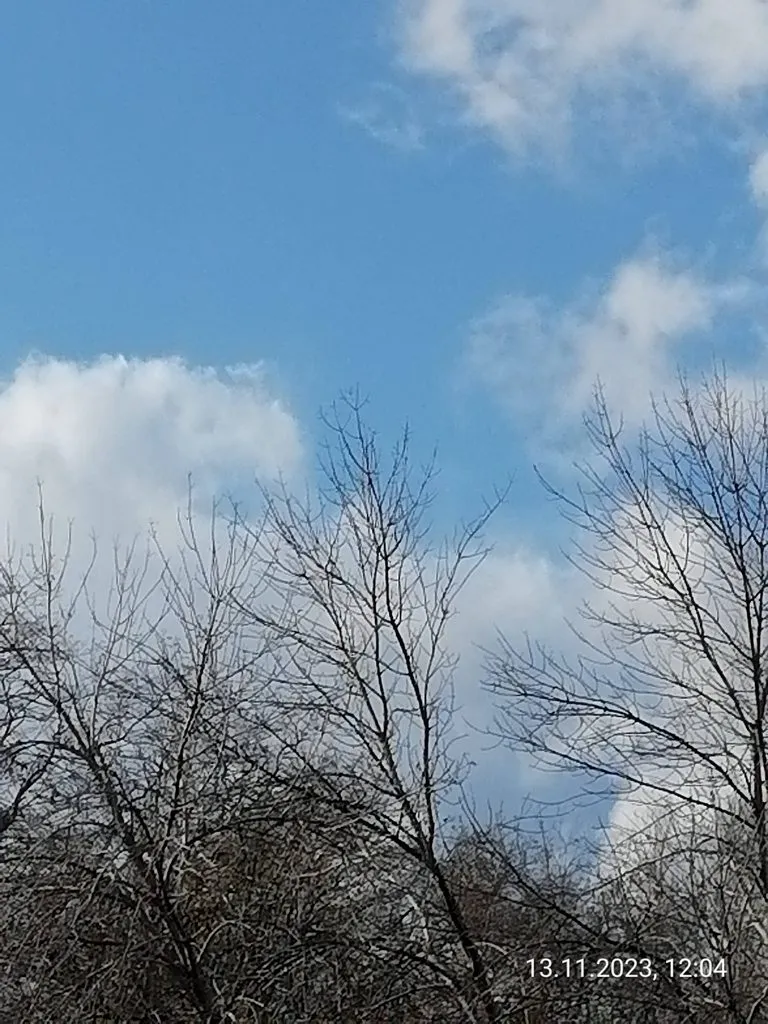 Такое разное небо