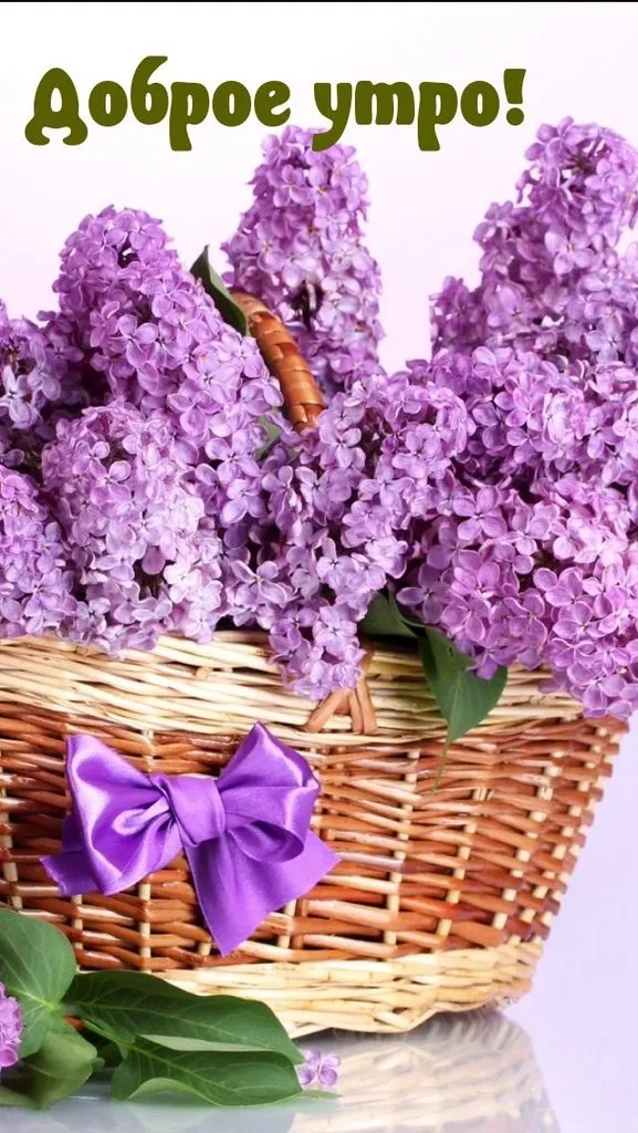 Tapтaлeтки & Ко