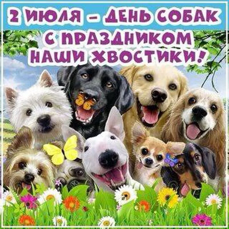 Человек собаке друг!!!