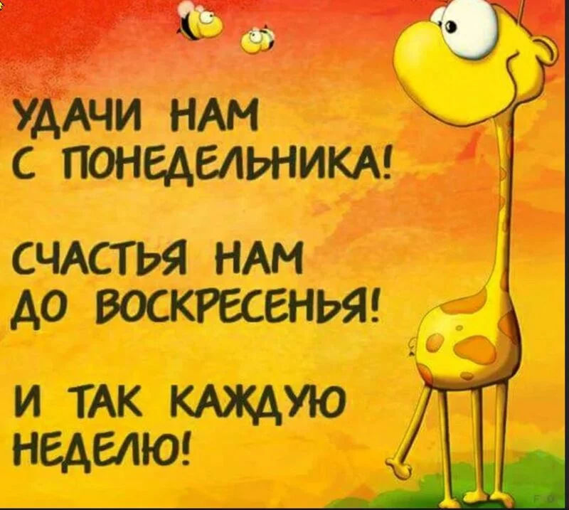 Позитивчик (фото, видео, рассказы для хорошего настроения)