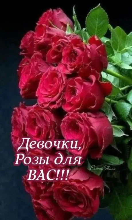 Кафе «У пани Сони»