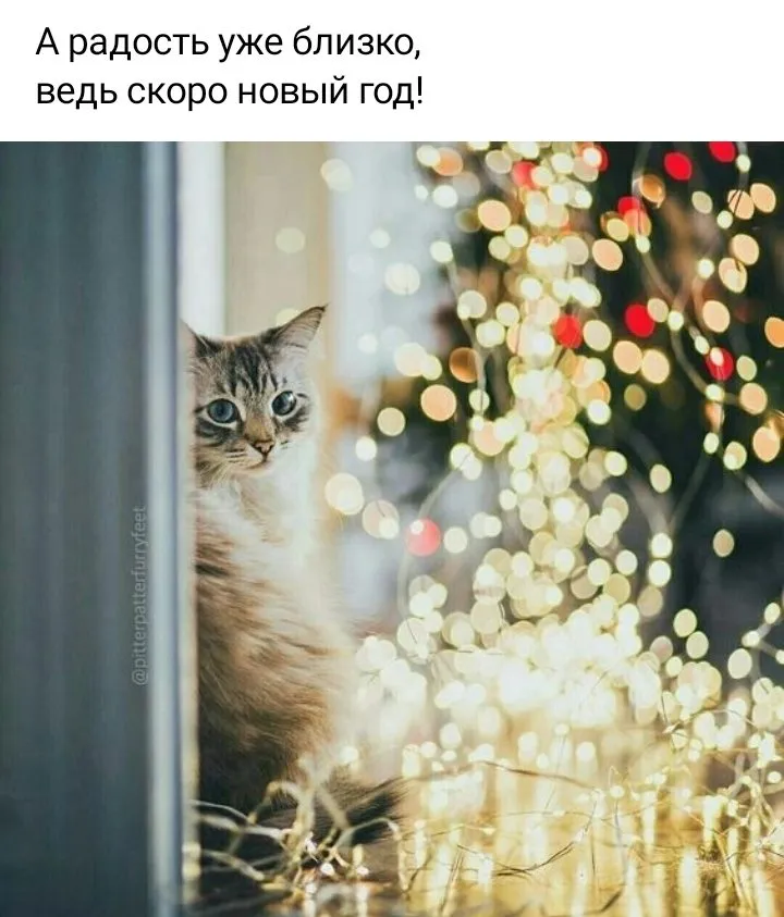 Кафе «У пани Сони»