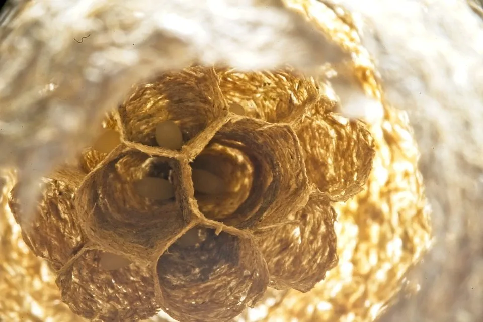 Возможная роль прополиса в профилактике и лечении метаболических заболеваний