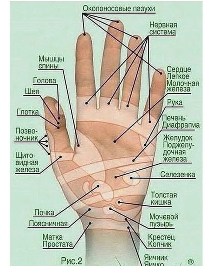 Медицинская инфографика