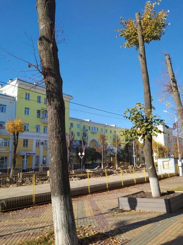 Чайная беседка