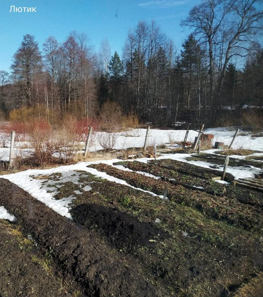 Кафе «У пани Сони»