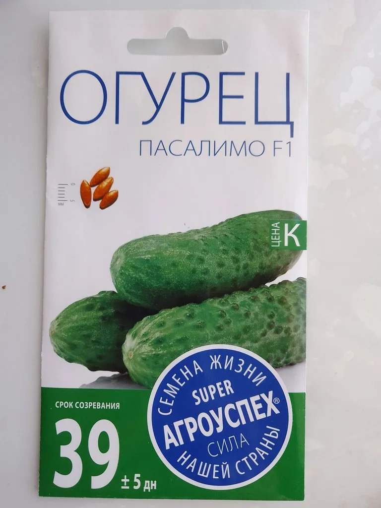 Сажаем, растим, собираем урожай…