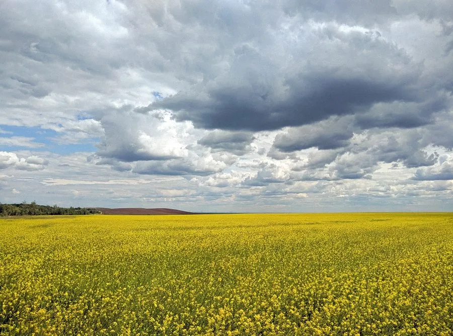Фотонастроение