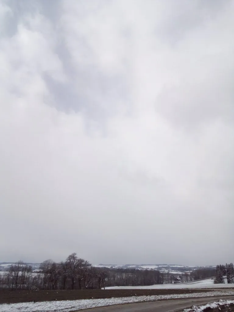 Tapтaлeтки & Ко