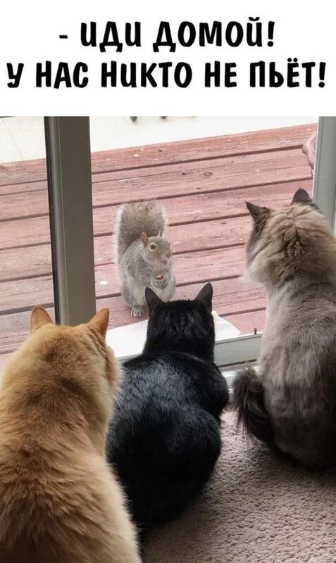 Посмеялся сам - поделись с другом!!!