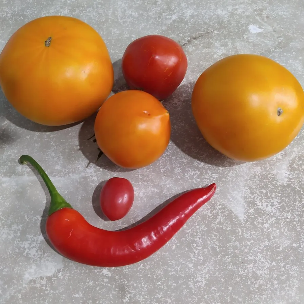 Чайная беседка