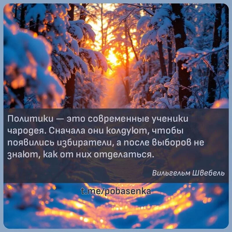 «Политики — это современные ученики чародея. Сначала они колдуют, чтобы появились избиратели, а после выборов не знают, как...» height="550" width="550"