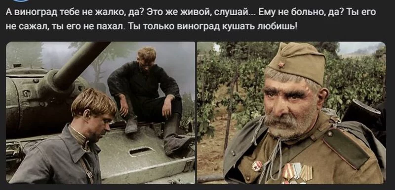 Позитивчик (фото, видео, рассказы для хорошего настроения)
