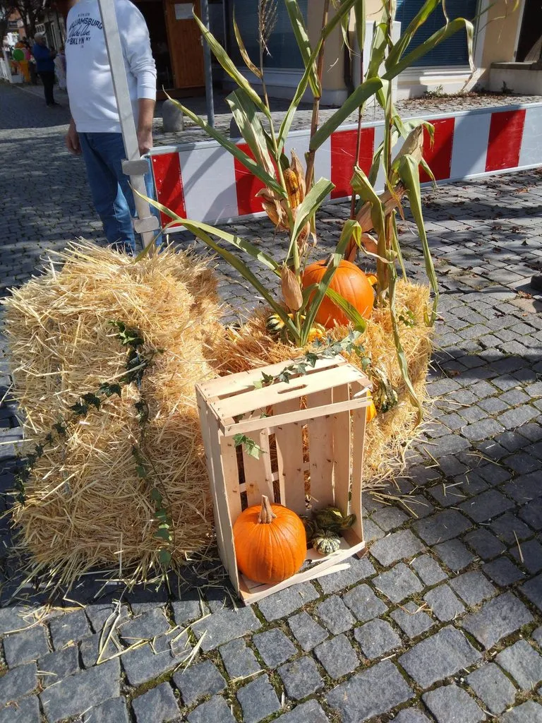 Чайная беседка