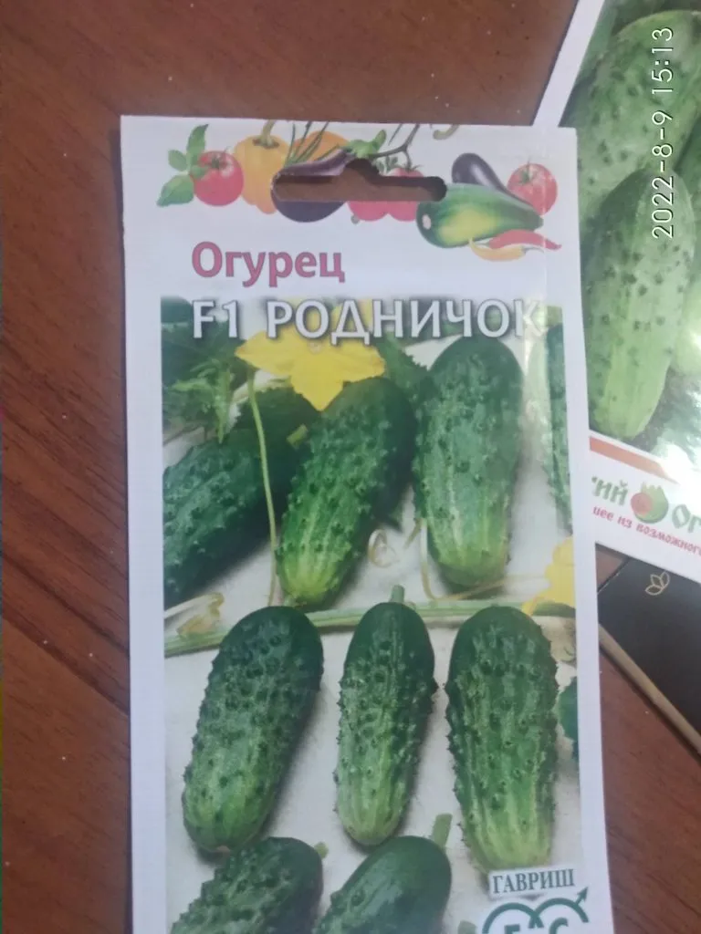 Сажаем, растим, собираем урожай…