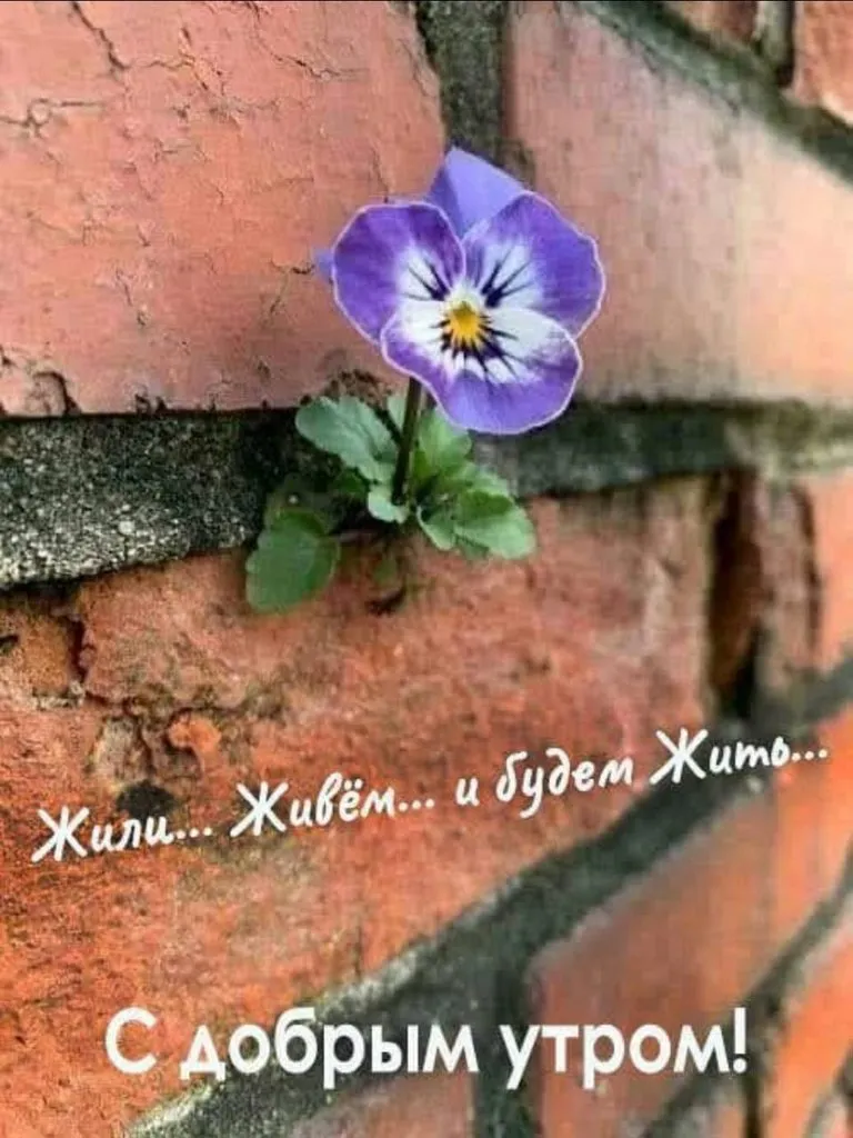 Кафе «У пани Сони»