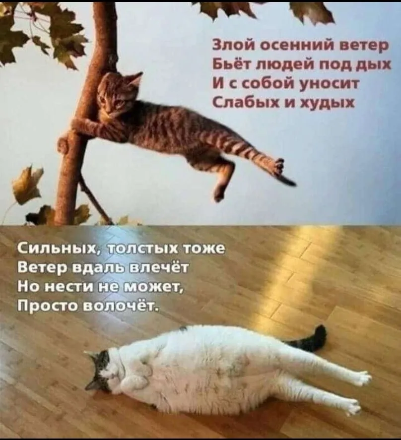 Посмеялся сам - поделись с другом!!!