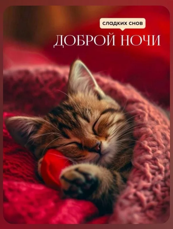 Кафе "У пани Сони"