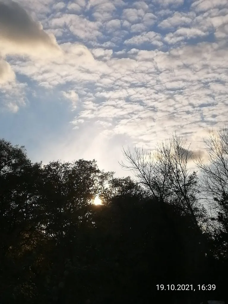 Чайная беседка