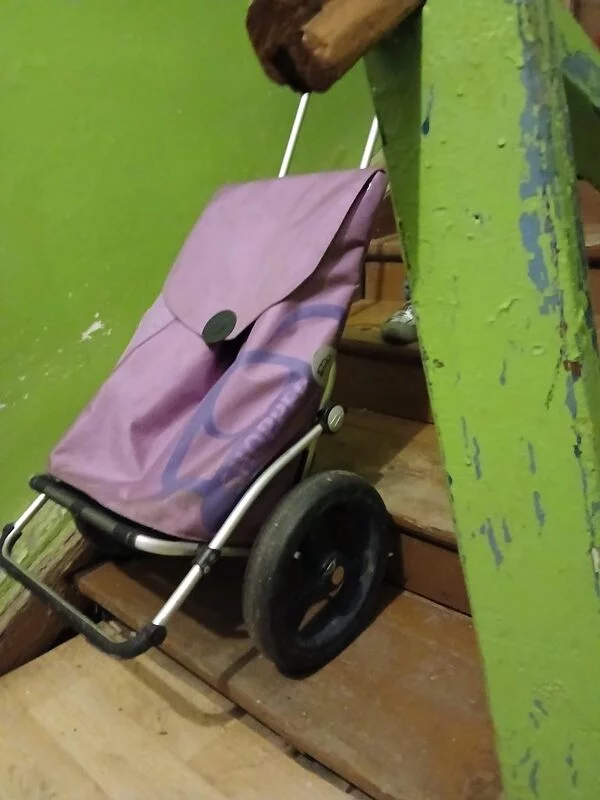 Хозяйственные сумки-тележки