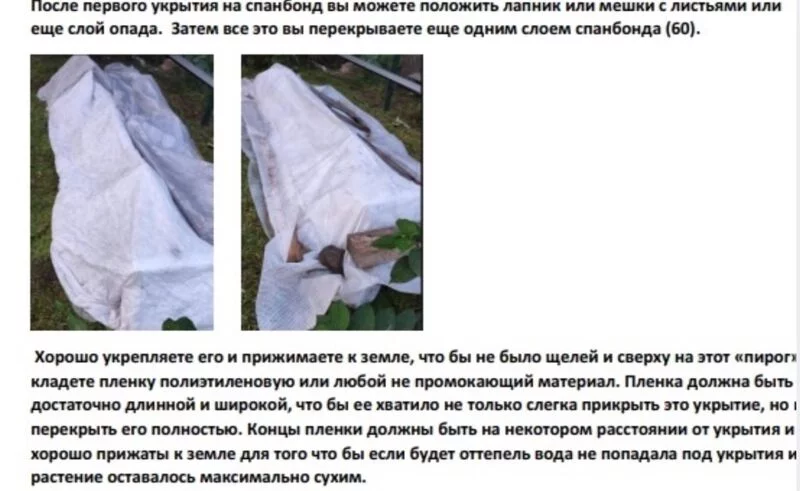 Загородная жизнь - обустройство на своей земле во всем ее разнообразии