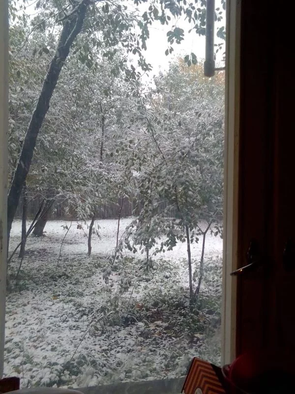Что в Москве слышно? 